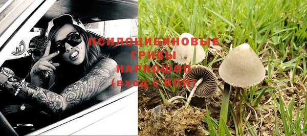 гашик Протвино