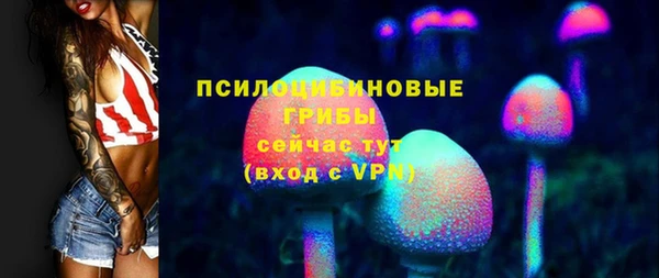 СК Покачи