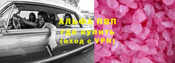 СК Покачи